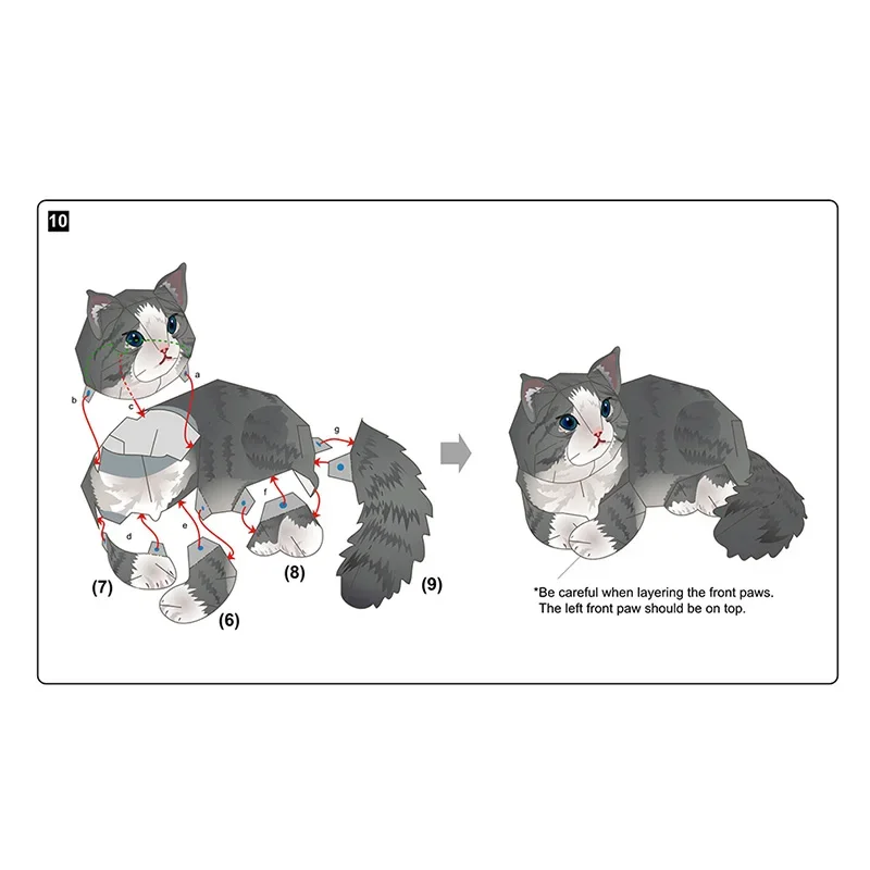 Norwegian Forest Cat Folding H - Art Craft Cardboard 评论和价格